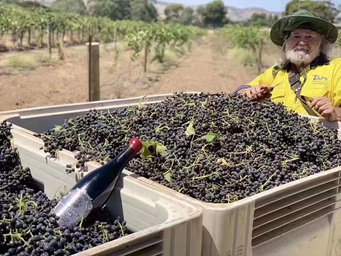 Barossa Valley old vine 